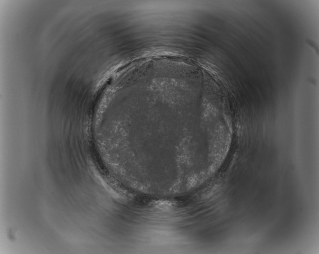 X0000099470352200806061225