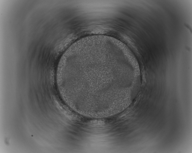 X0000099470354200806061225