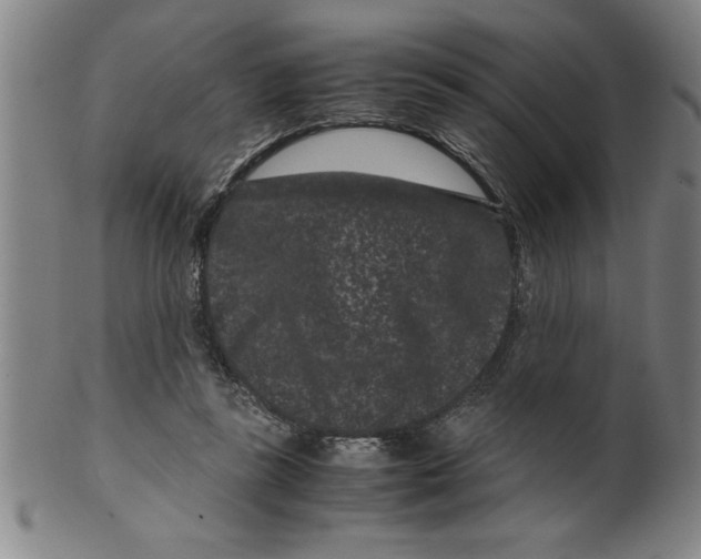 X0000099470355200806061225