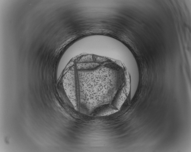 X0000099470356200806061225