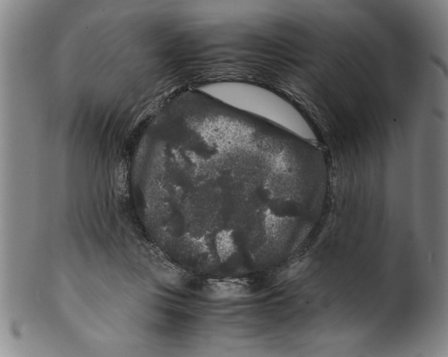 X0000099470359200806061225