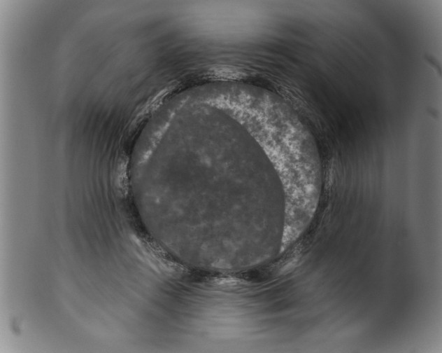 X0000099470360200806061225