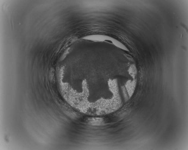 X0000099470361200806061225