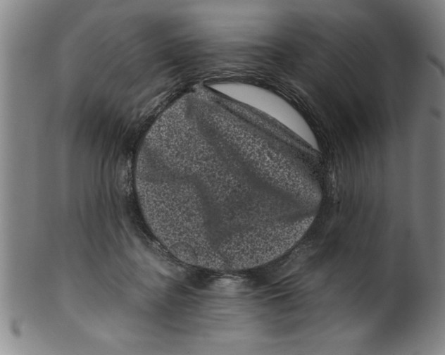 X0000099470364200806061225