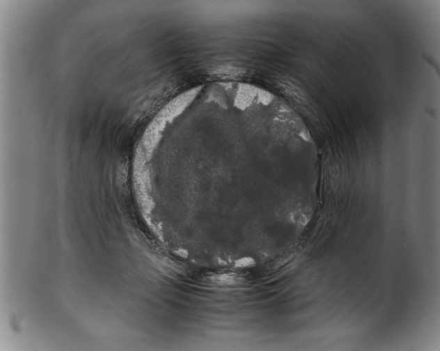 X0000099470365200806061225