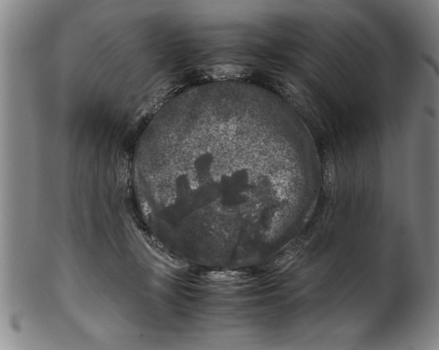 X0000099470367200806061225