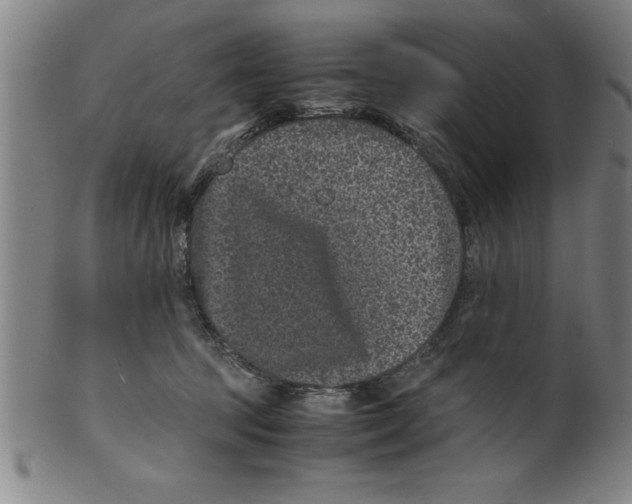 X0000099470369200806061225