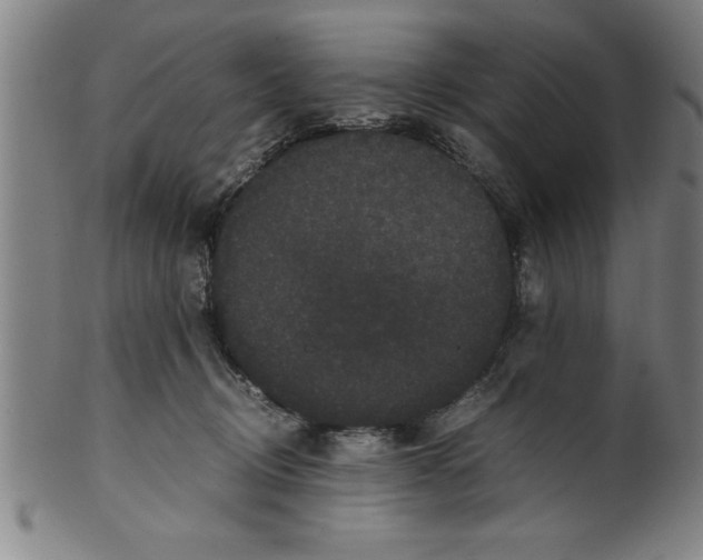 X0000099470370200806061225