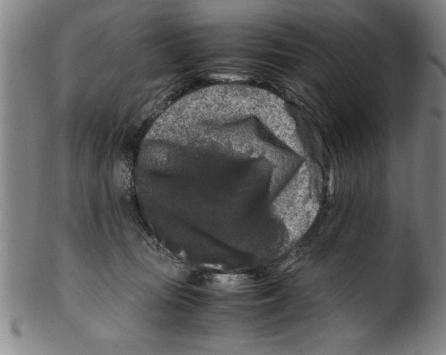 X0000099470371200806061225