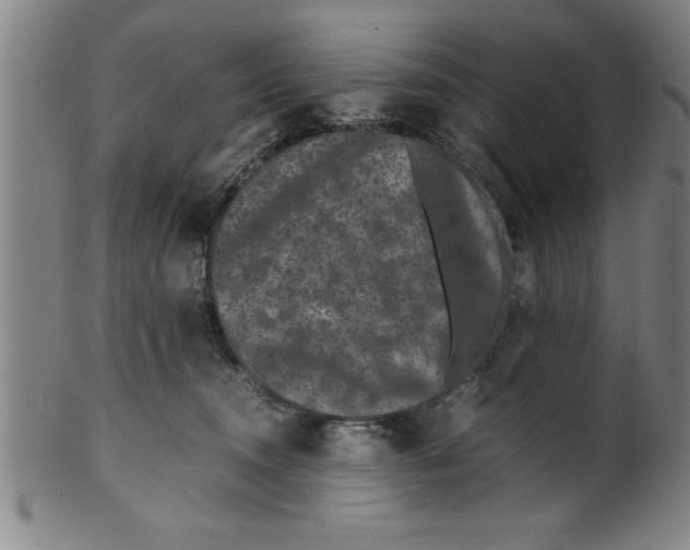 X0000099470372200806061226