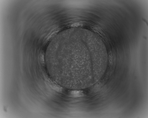 X0000099470375200806061226