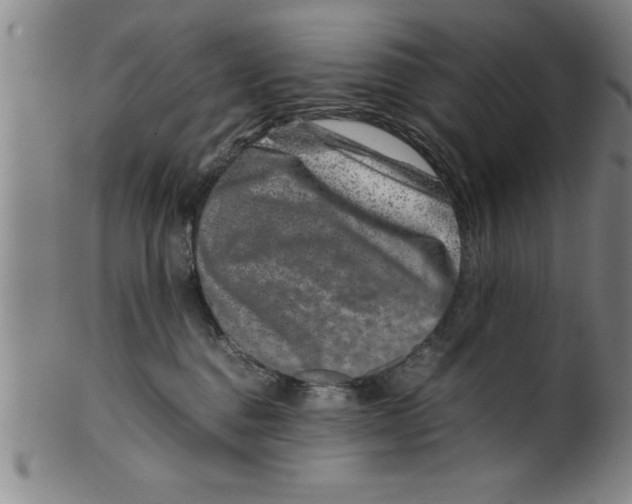 X0000099470376200806061226