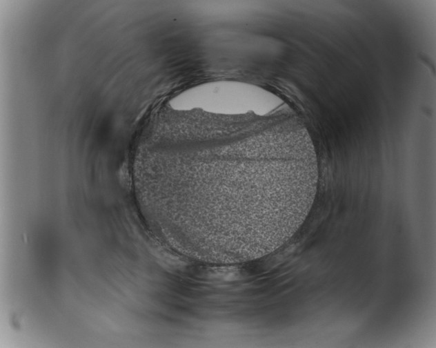 X0000099470377200806061226