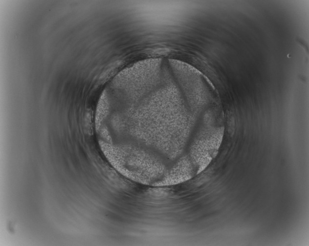 X0000099470378200806061226