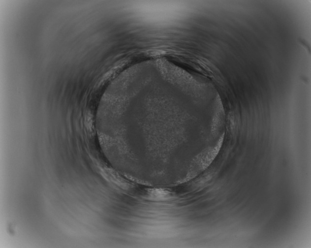 X0000099470380200806061226