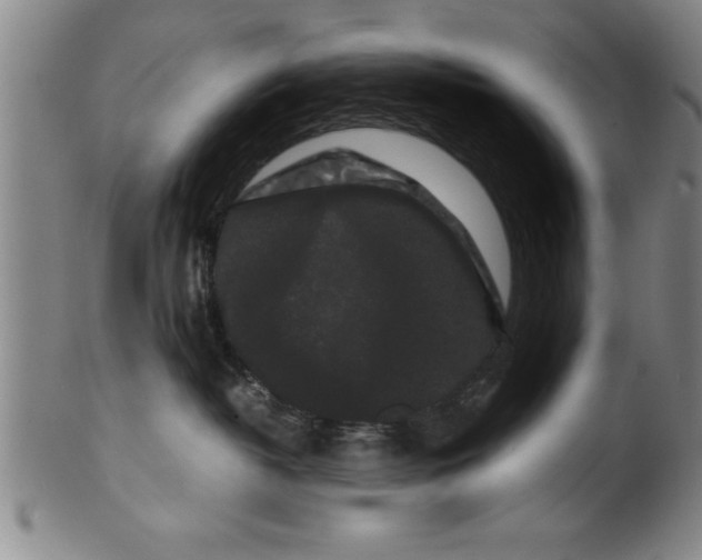 X0000099470382200806061226