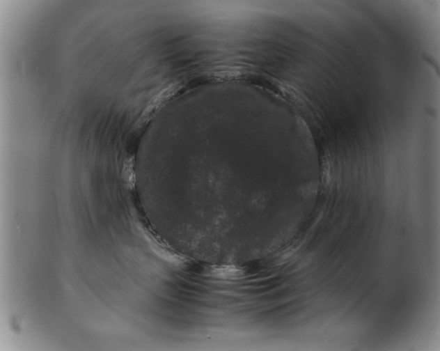 X0000099470383200806061226