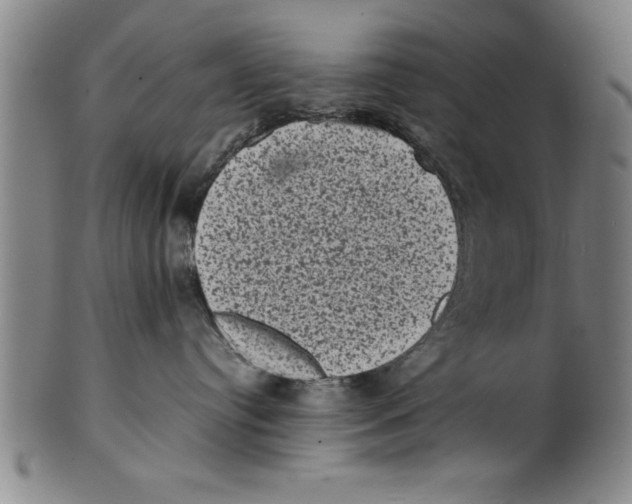 X0000099470384200806061226