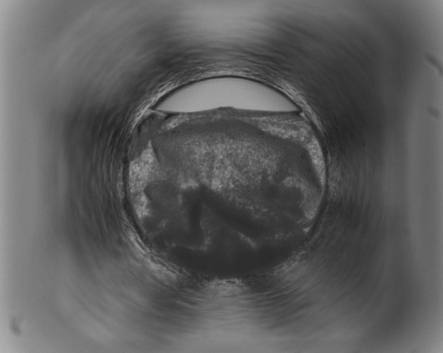 X0000099470386200806061225