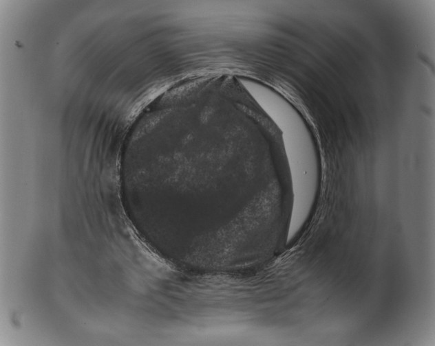 X0000099470389200806061225