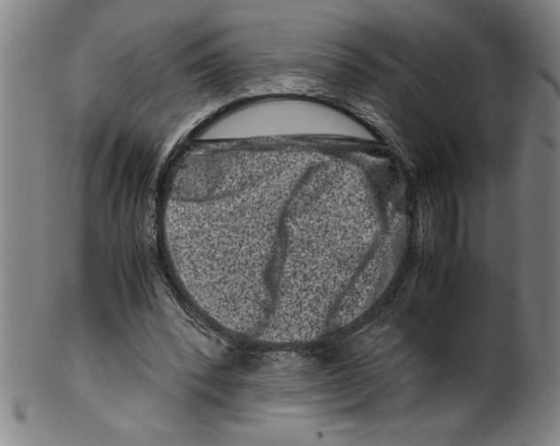 X0000099470392200806061225