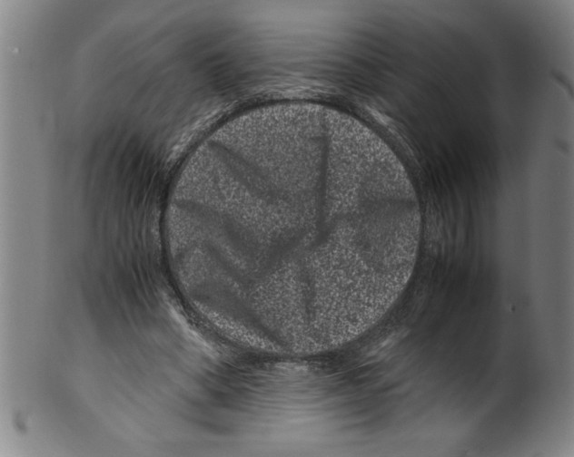 X0000099470394200806061225