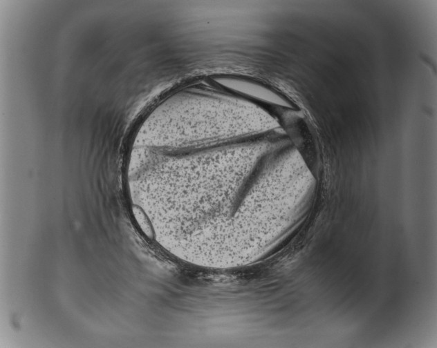 X0000099470395200806061225