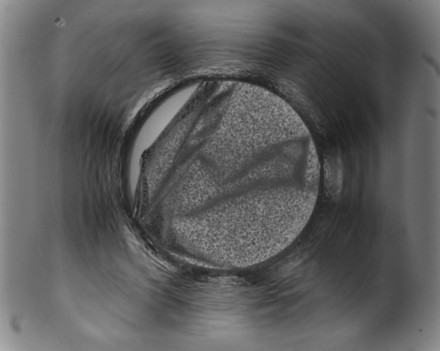 X0000099470396200806061225