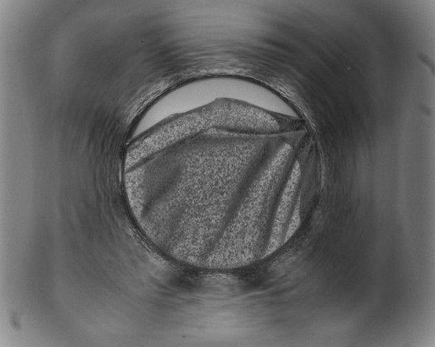 X0000099470397200806061225