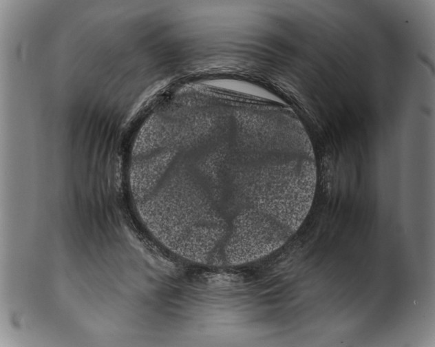 X0000099470400200806061225