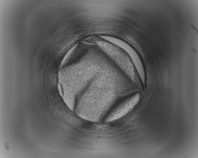 X0000099470401200806061225