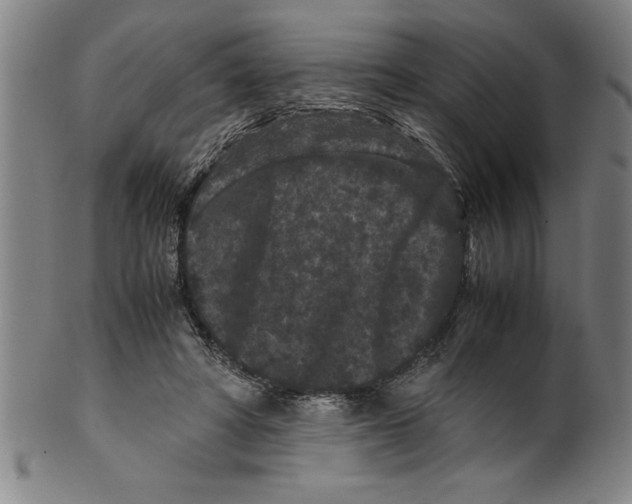 X0000099470402200806061225