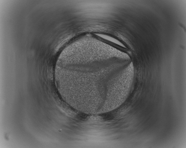 X0000099470403200806061225