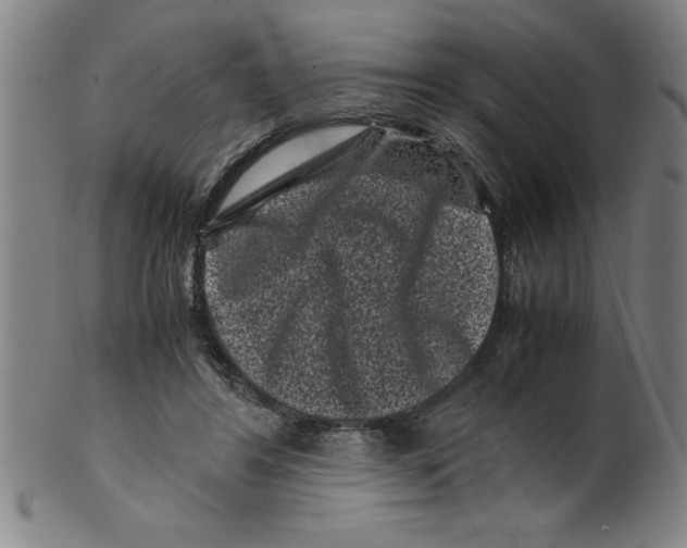 X0000099470404200806061225