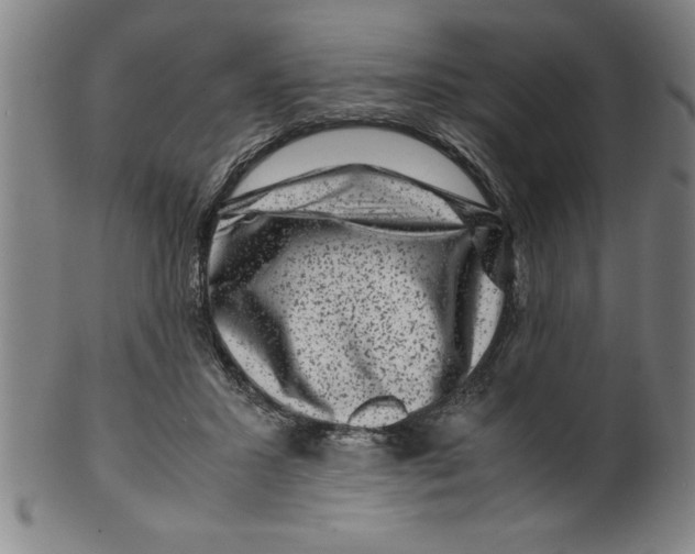 X0000099470407200806061225