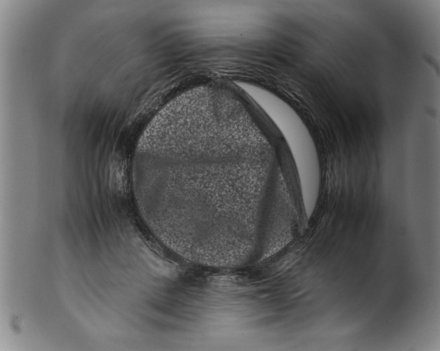 X0000099470408200806061225