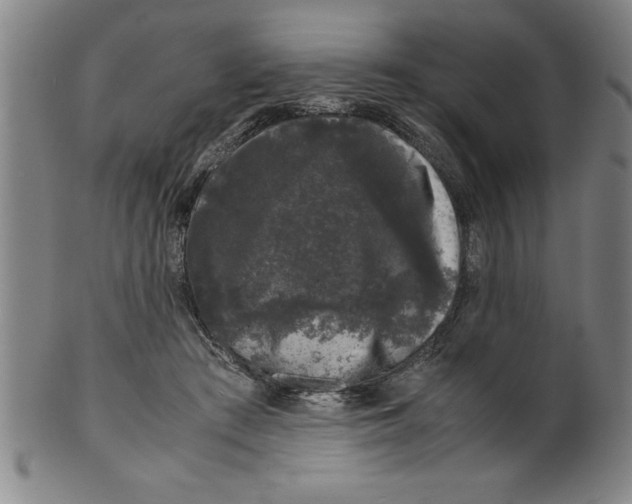 X0000099470409200806061225