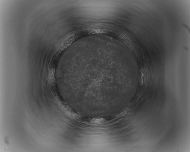 X0000099470410200806061225