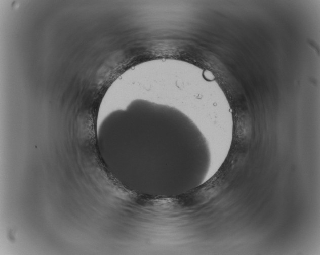 X0000099470411200806061225