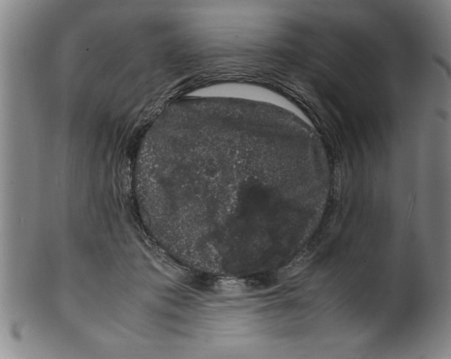 X0000099470413200806061225