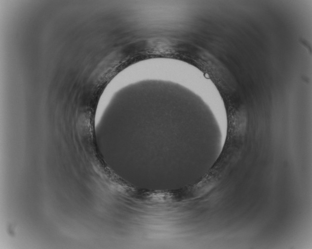 X0000099470415200806061224