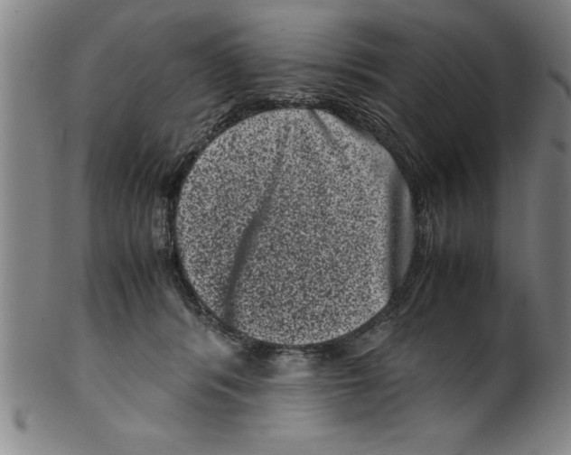 X0000099470416200806061224