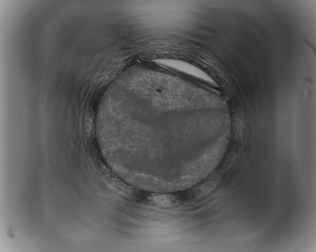 X0000099470417200806061224