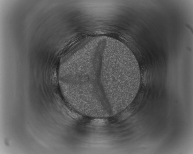 X0000099470418200806061224