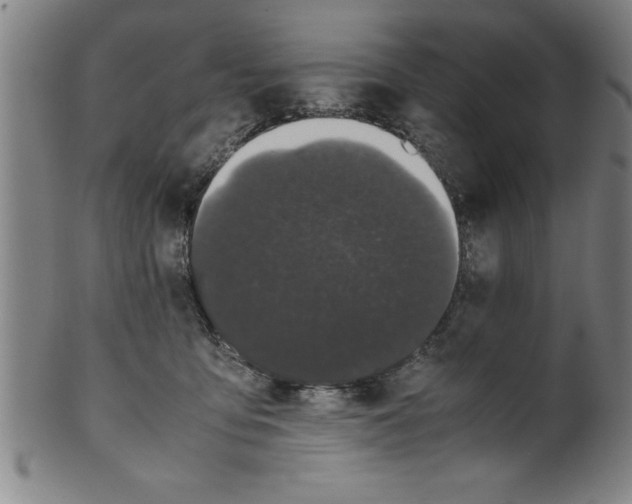 X0000099470419200806061224