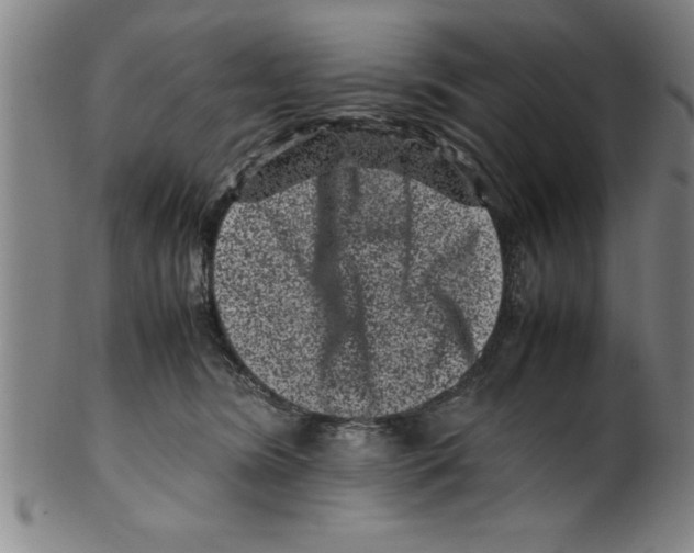 X0000099470420200806061224