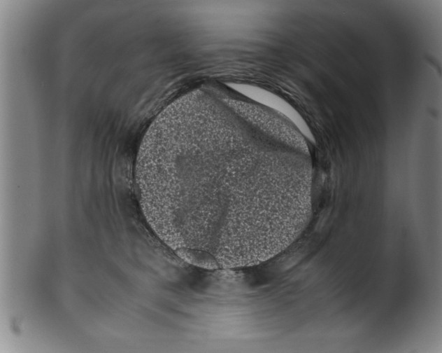 X0000099470421200806061224