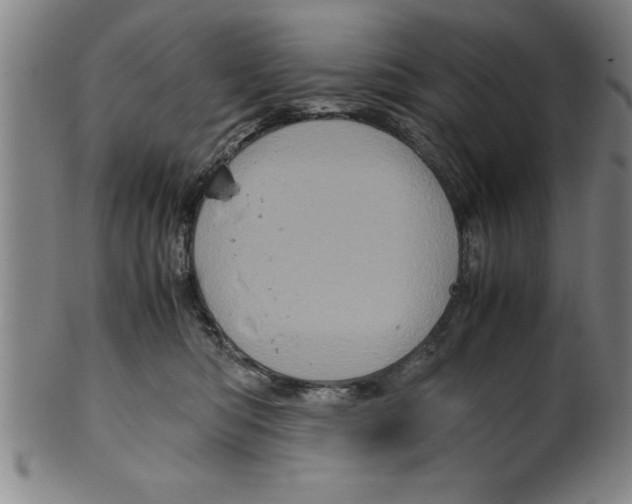 X0000099470422200806061224