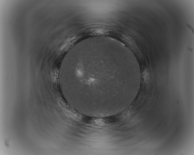 X0000099470423200806061224