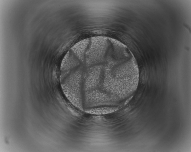 X0000099470424200806061224